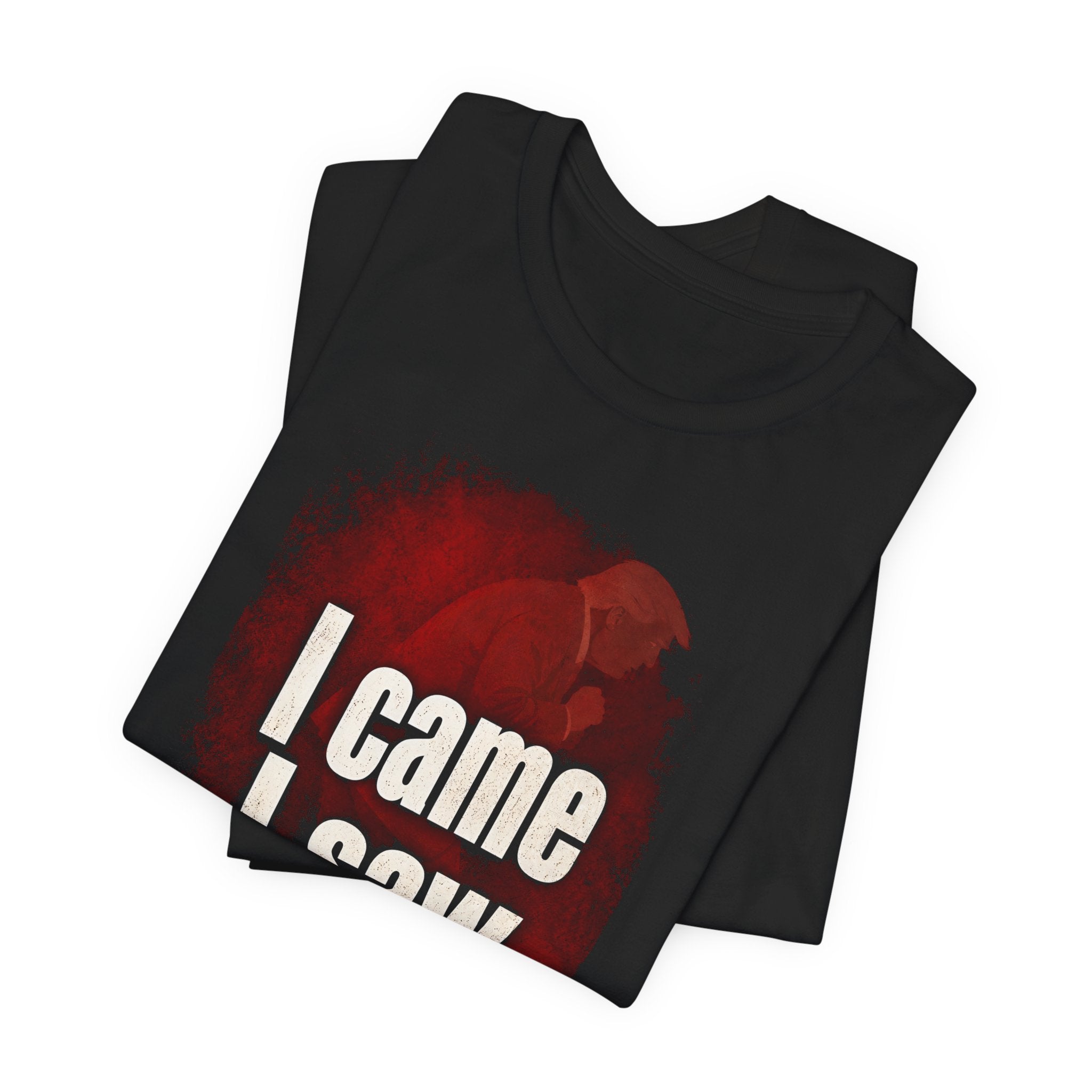 I Came, I Saw, Iran