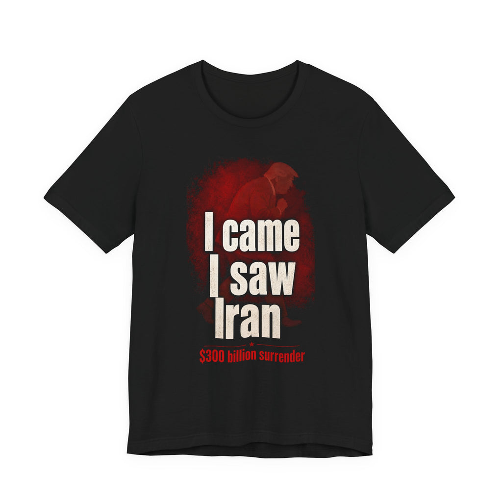 I Came, I Saw, Iran