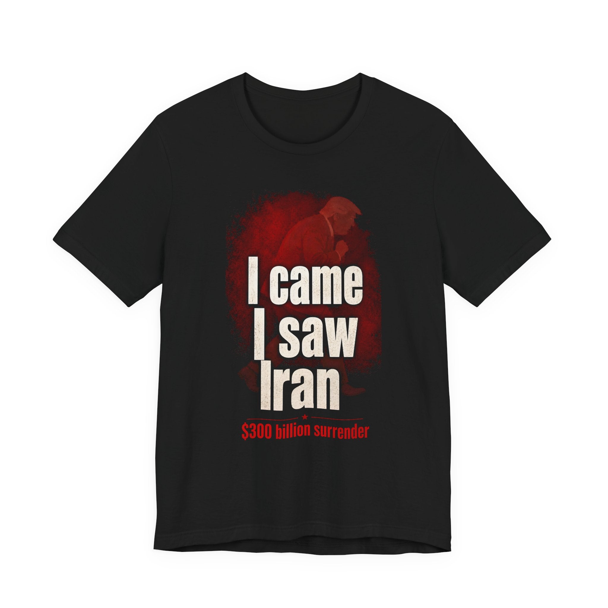 I Came, I Saw, Iran